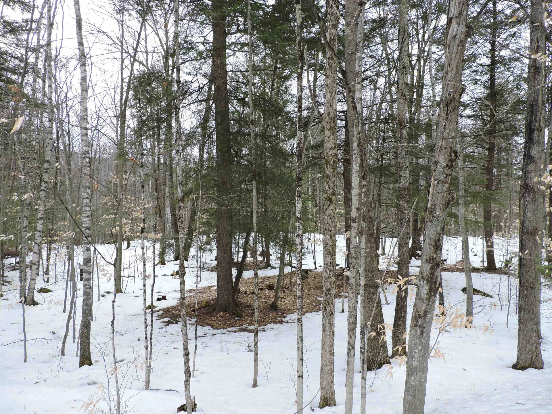 0 Mascoma Heights Drive Enfield NH 03748