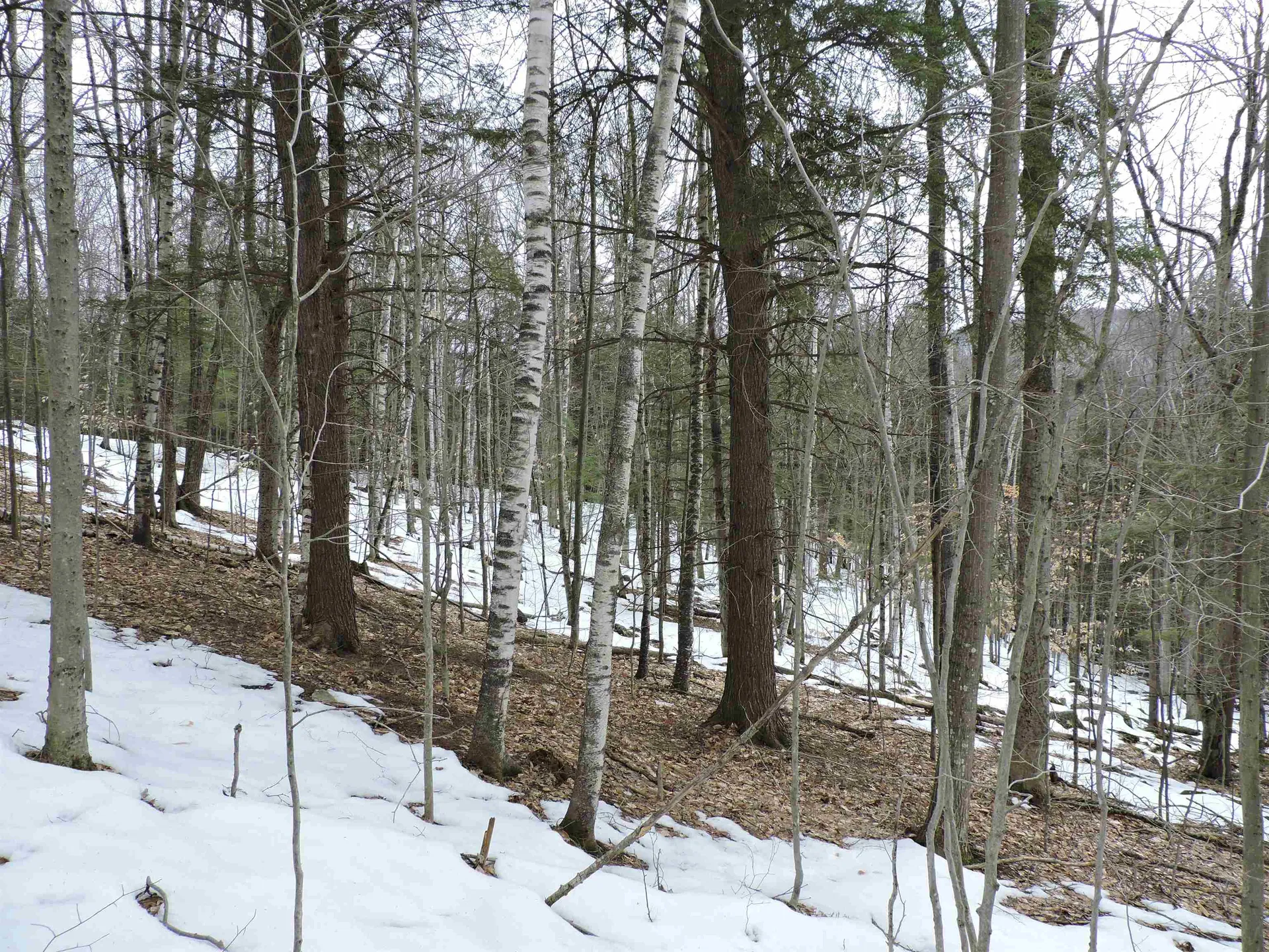 0 Mascoma Heights Drive Enfield NH 03748