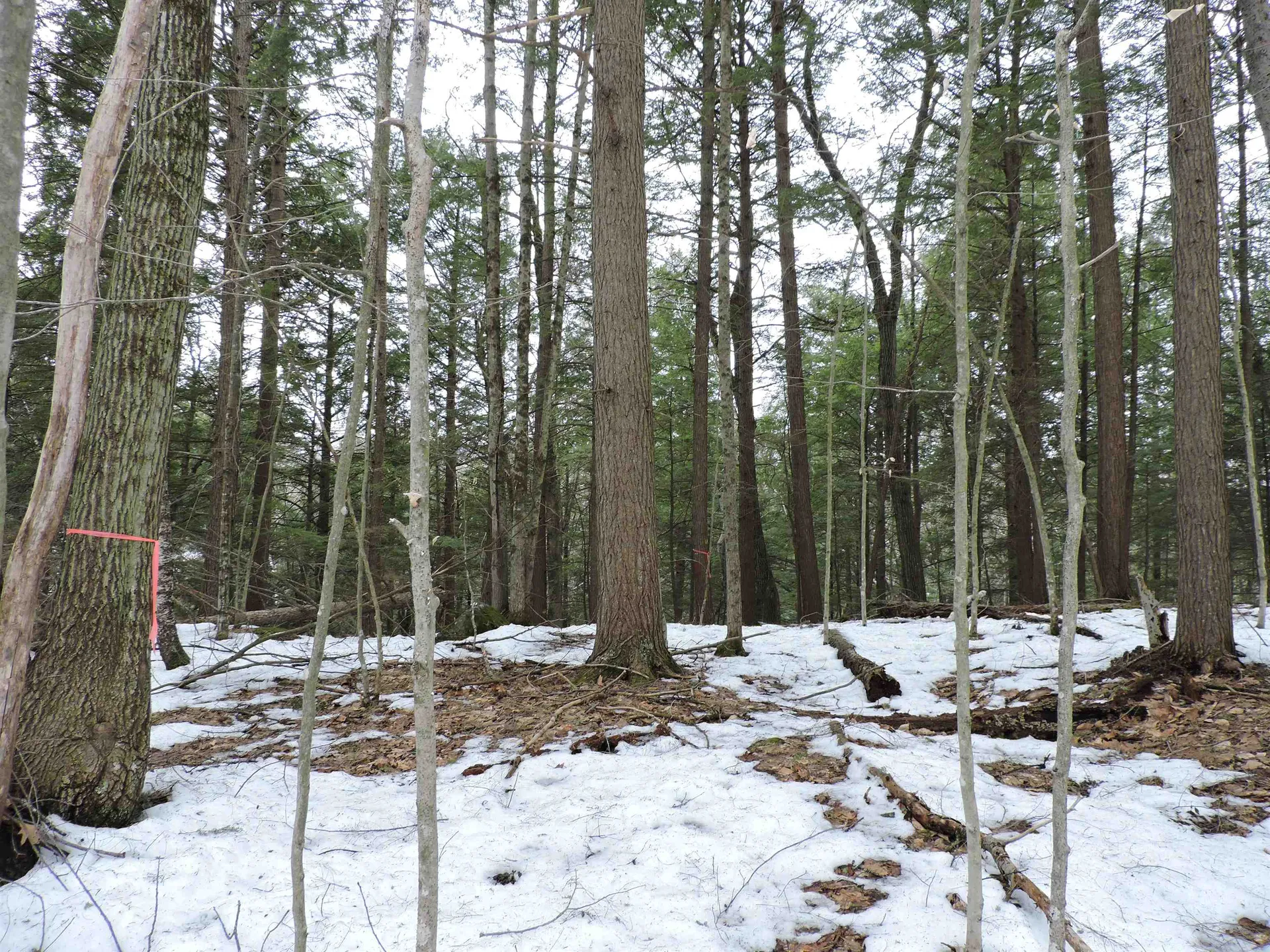 0 Mascoma Heights Drive Enfield NH 03748