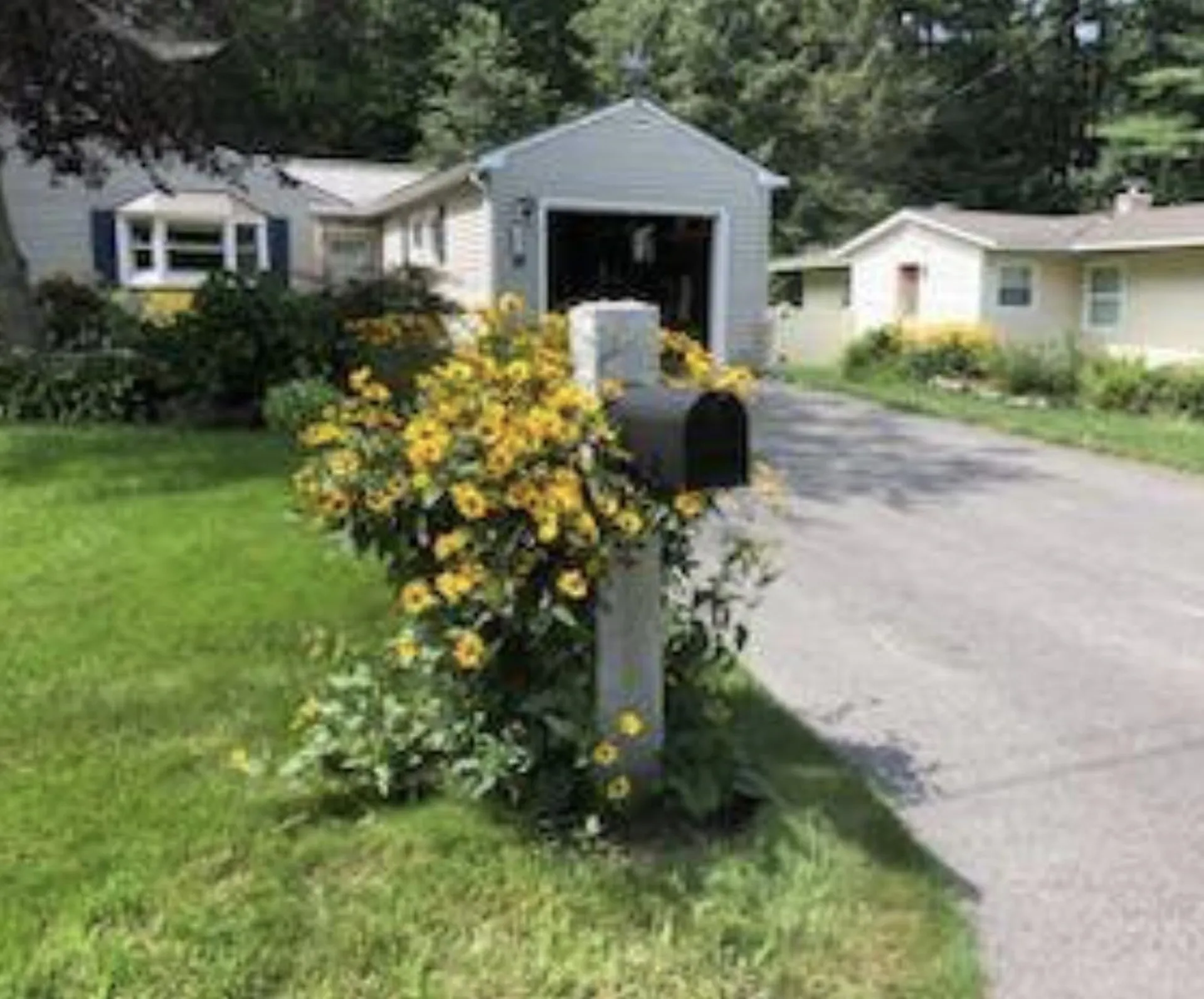 17 Rundlett Street Concord NH 03301