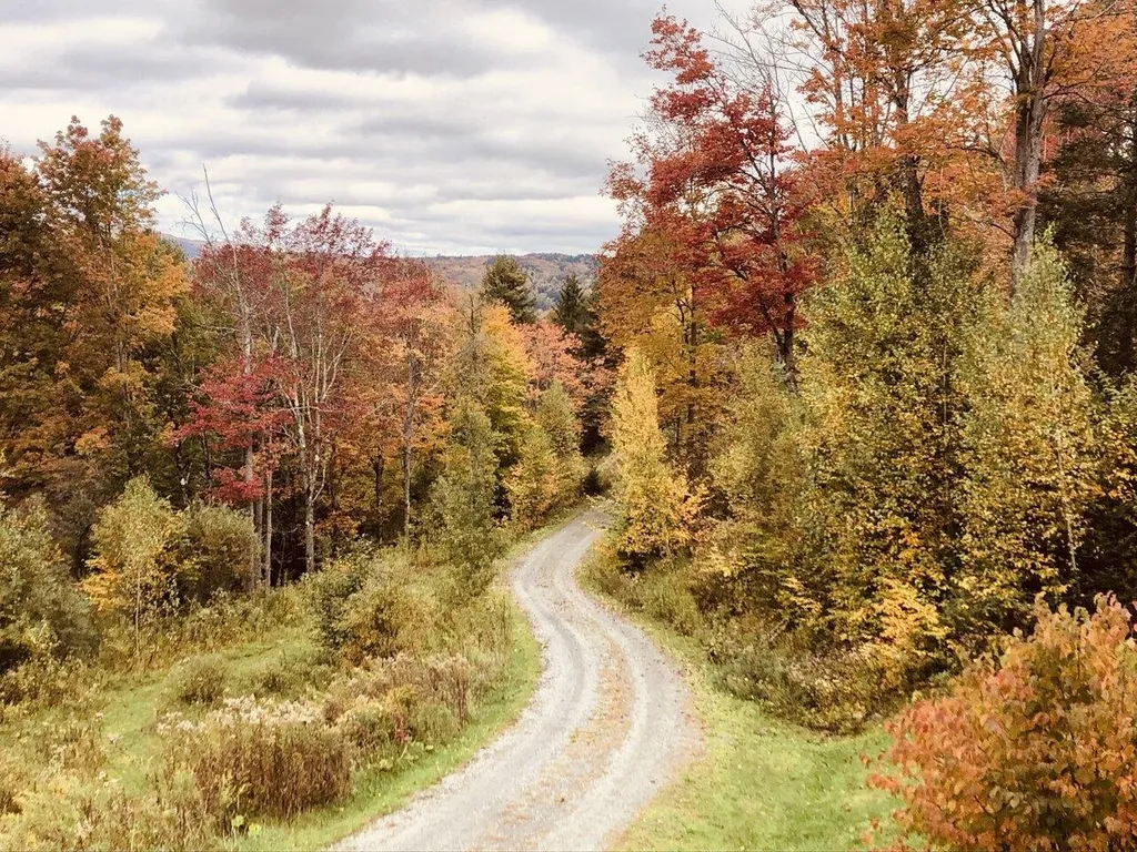 81 Gould Hill Road Worcester VT 05682