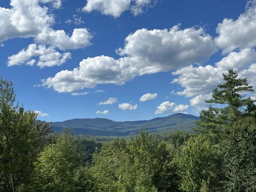 81 Gould Hill Road Worcester VT 05682