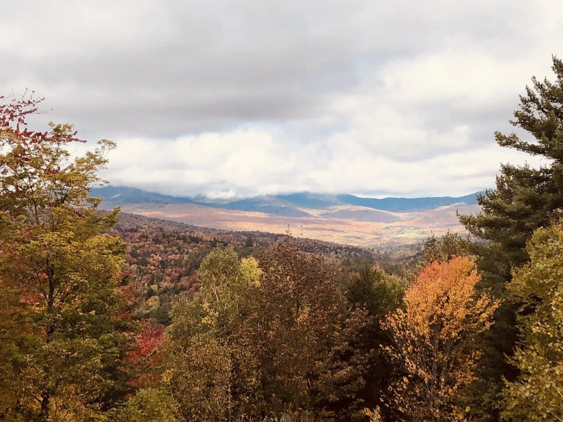 81 Gould Hill Road Worcester VT 05682
