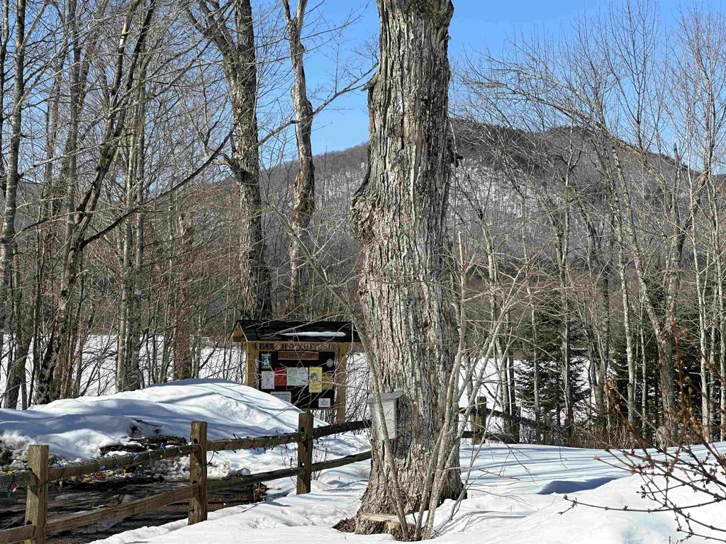 188 Ellsworth Pond Road Ellsworth NH 03223