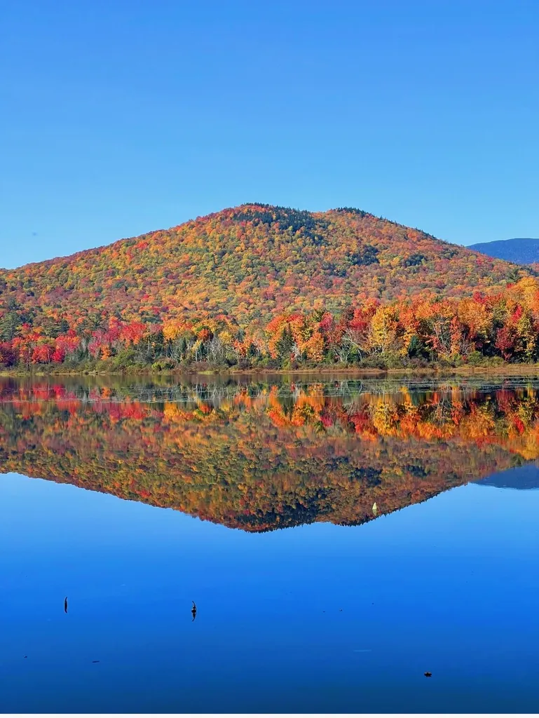 188 Ellsworth Pond Road Ellsworth NH 03223