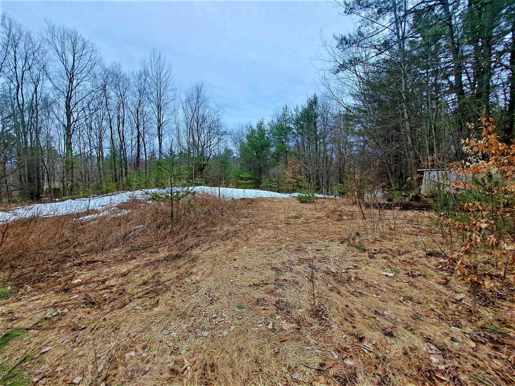 Lower Beech Hill Road Campton NH 03223