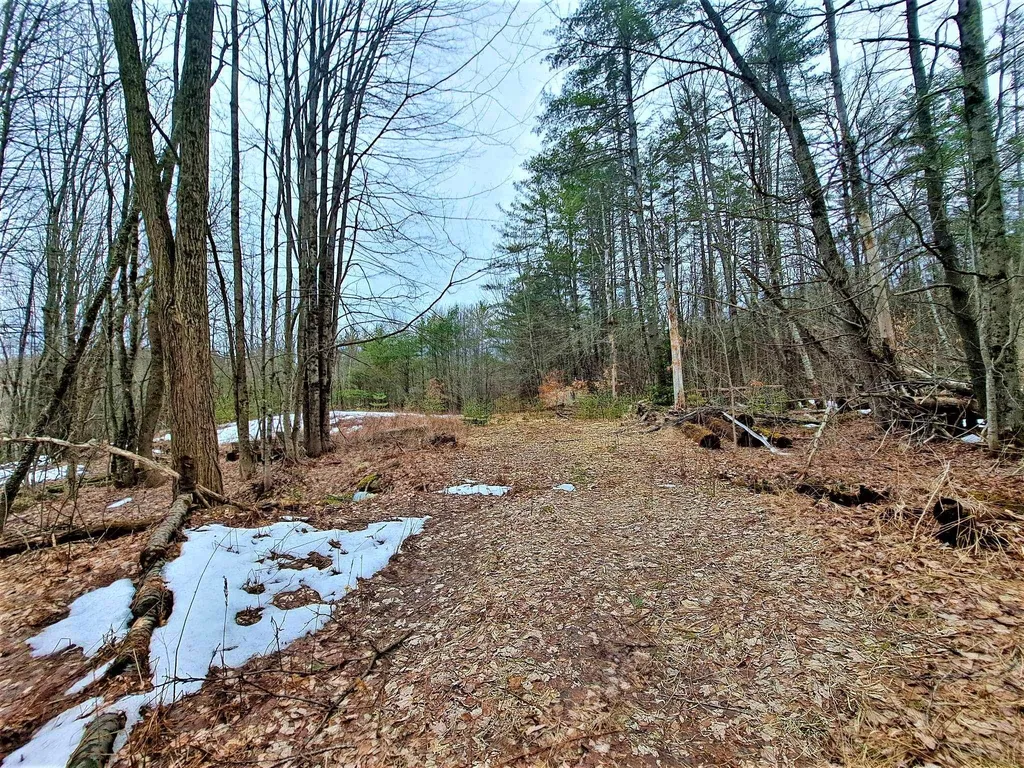 Lower Beech Hill Road Campton NH 03223