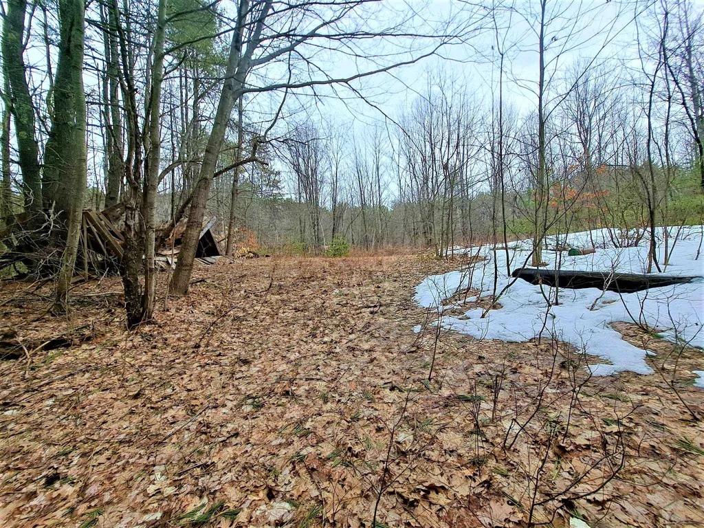Lower Beech Hill Road Campton NH 03223