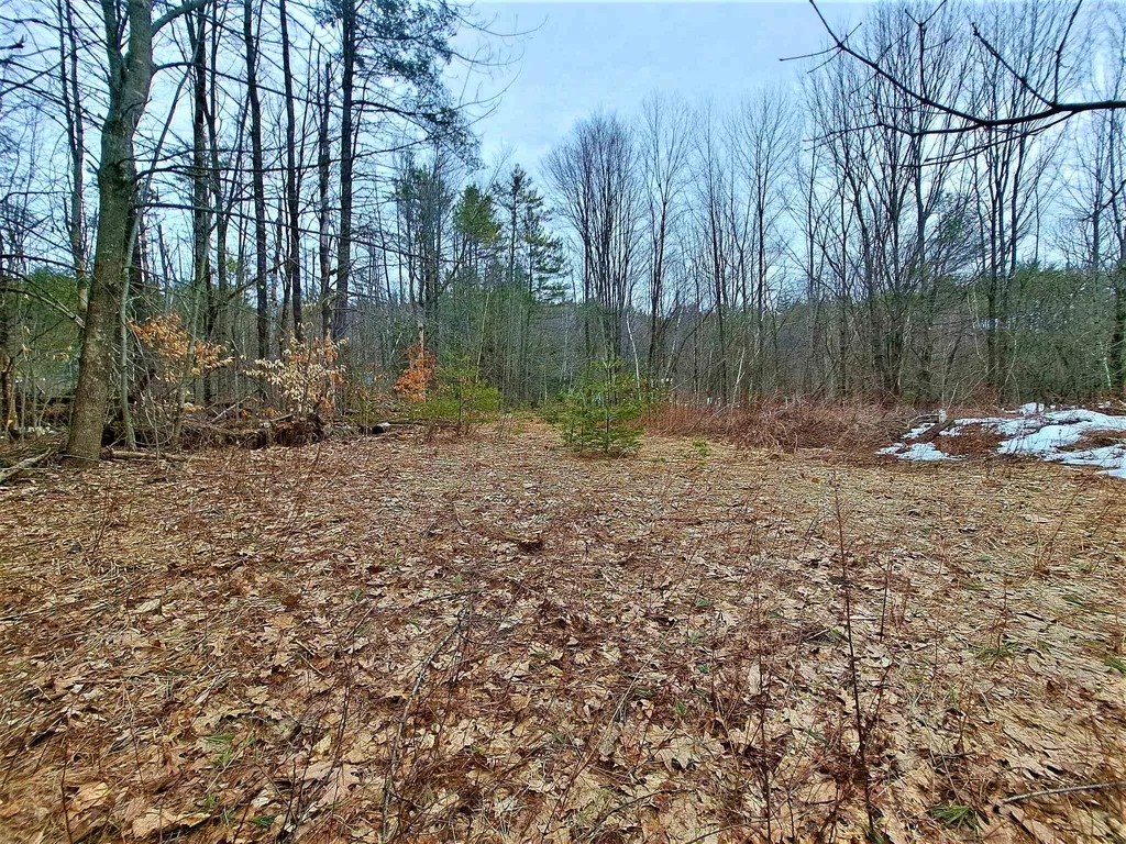 Lower Beech Hill Road Campton NH 03223
