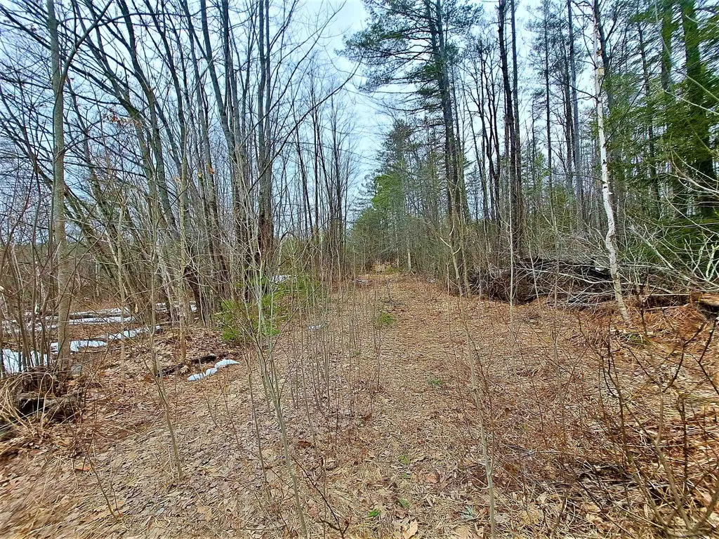 Lower Beech Hill Road Campton NH 03223