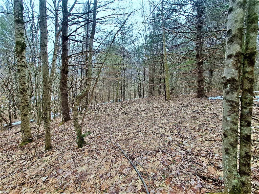 Lower Beech Hill Road Campton NH 03223