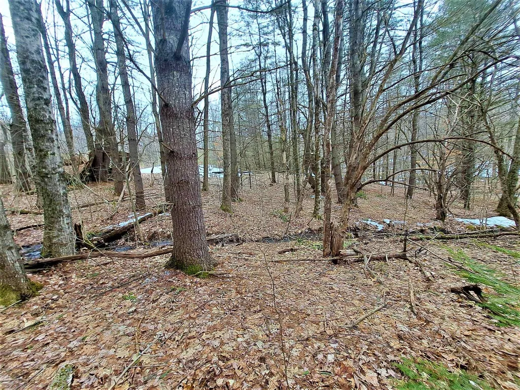 Lower Beech Hill Road Campton NH 03223