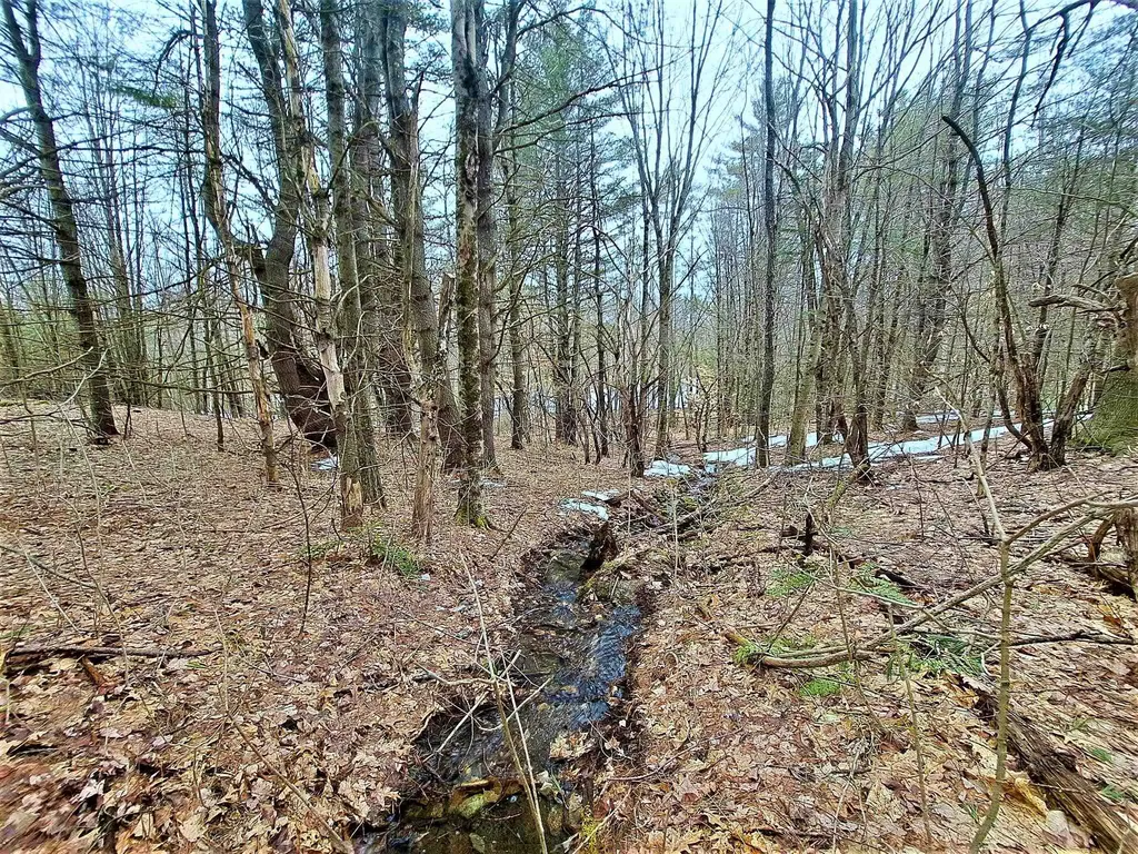 Lower Beech Hill Road Campton NH 03223