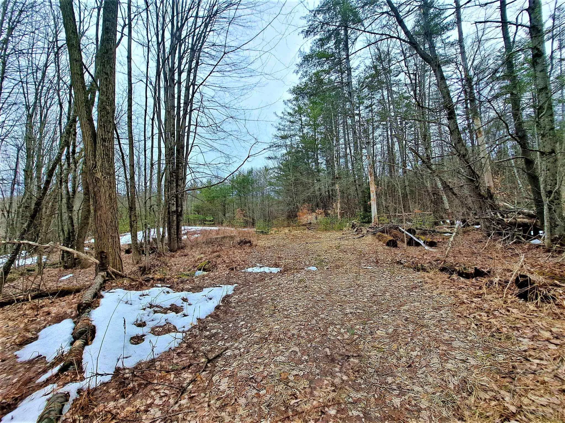 Lower Beech Hill Road Campton NH 03223