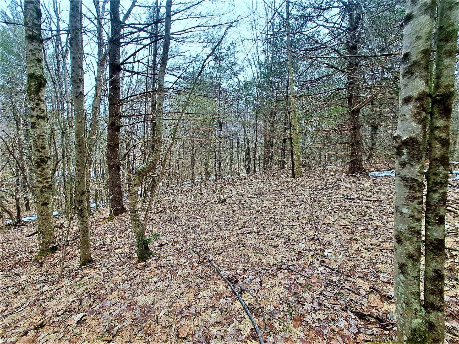 Lower Beech Hill Road Campton NH 03223
