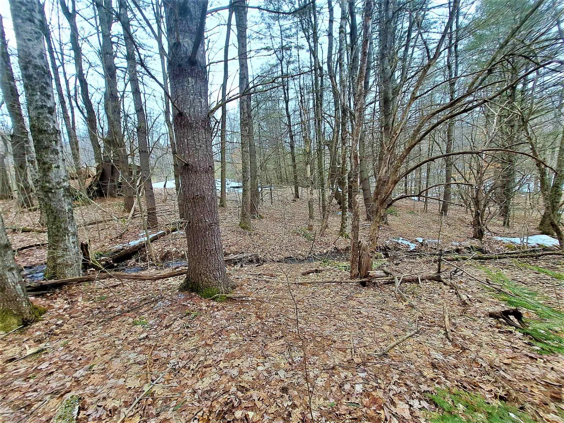 Lower Beech Hill Road Campton NH 03223