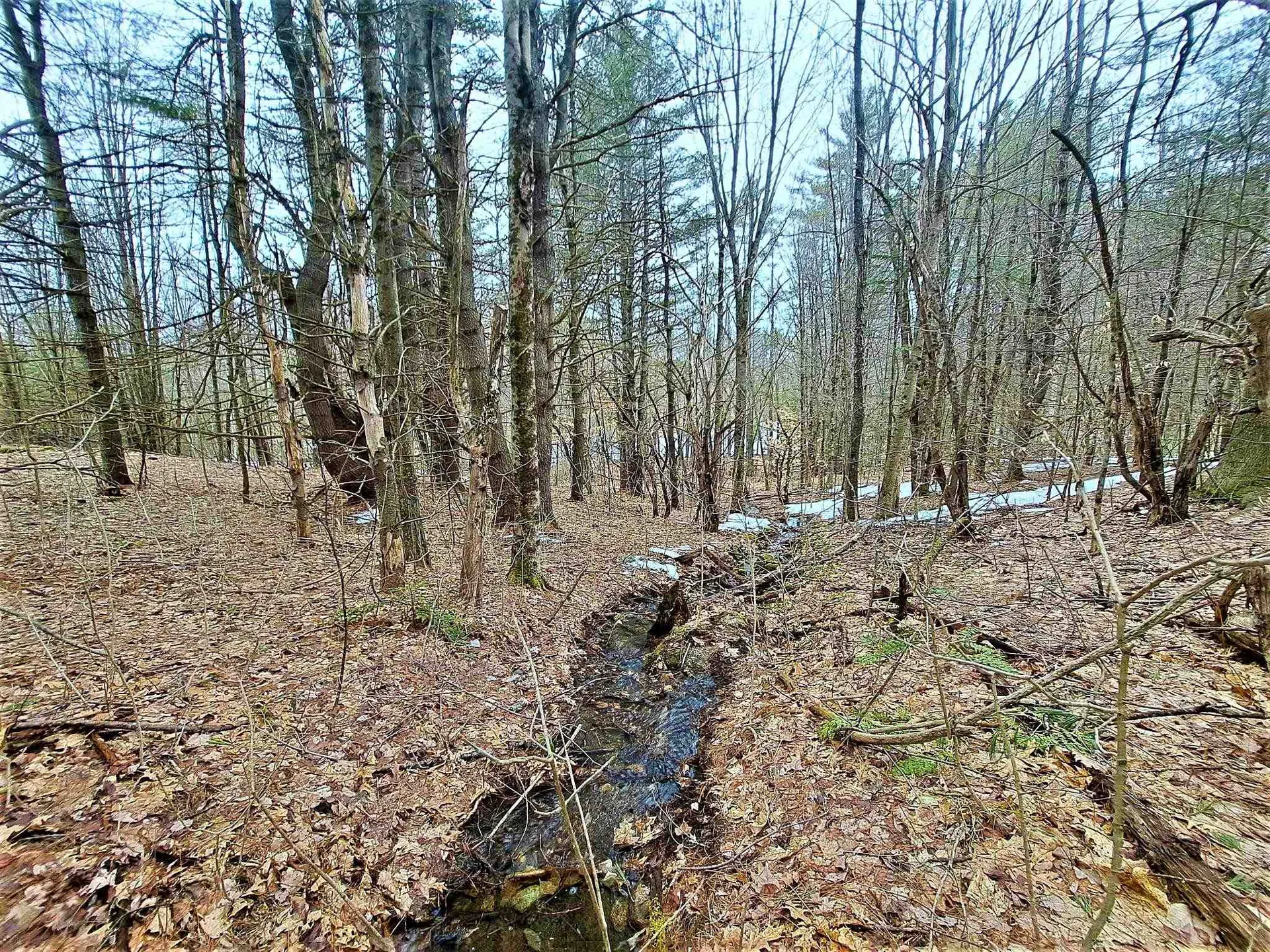 Lower Beech Hill Road Campton NH 03223