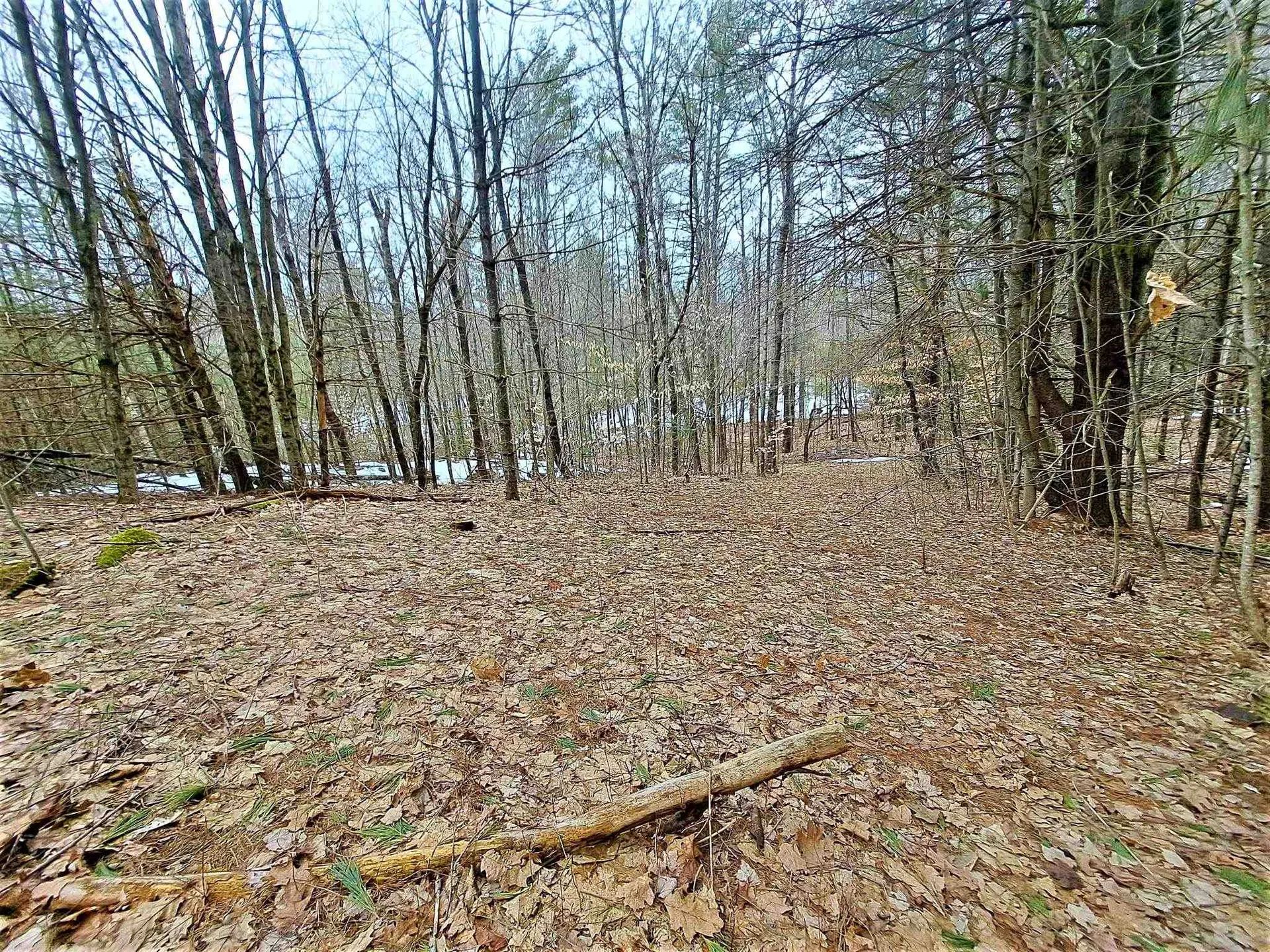 Lower Beech Hill Road Campton NH 03223