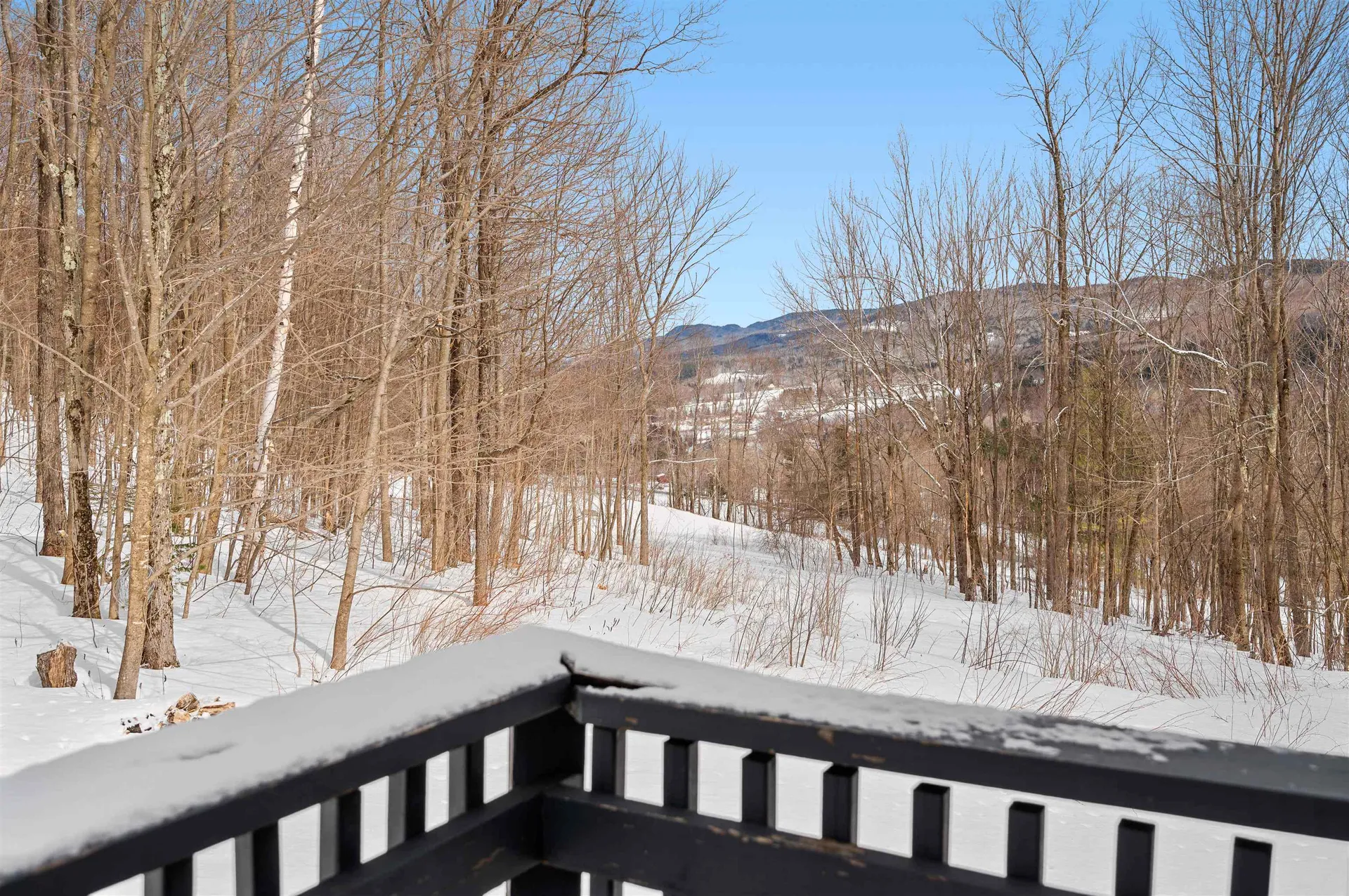 16 Dimetro Road Warren VT 05674