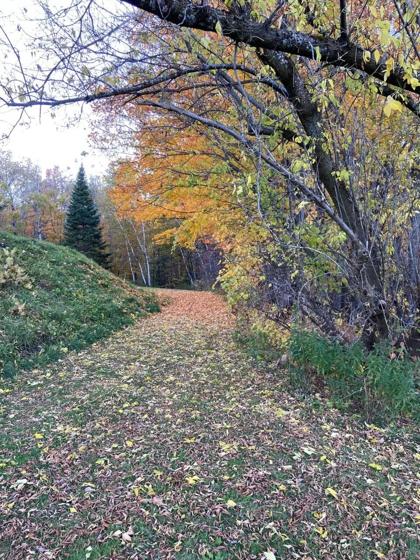 34 Church Hill Road Barre Town VT 05678-0000