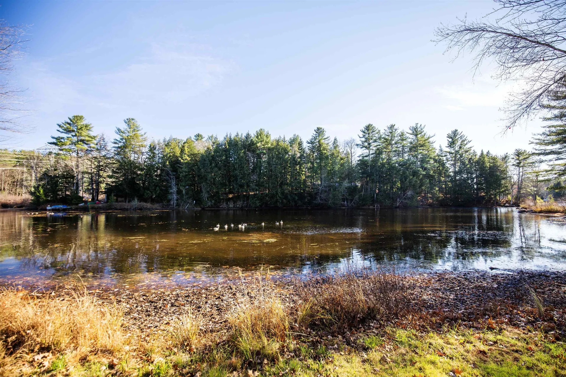 42 Centennial Drive Webster NH 03303