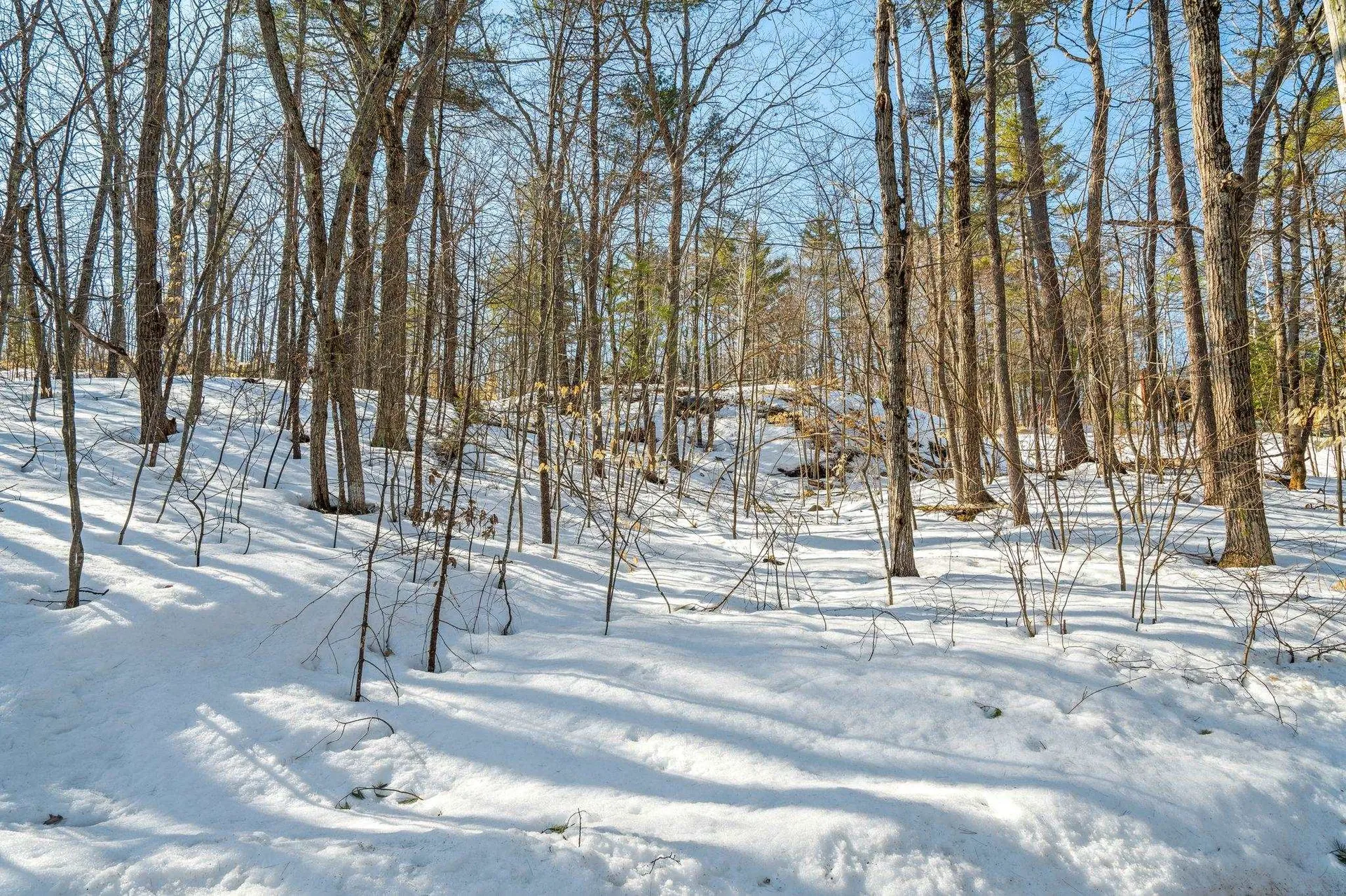 47 & 17 Au Bord Du Lac Road Wakefield NH 03830