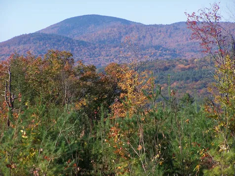260 Bagley Hill Road Bradford NH 03221-0001
