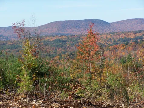 260 Bagley Hill Road Bradford NH 03221-0001