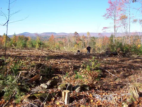 260 Bagley Hill Road Bradford NH 03221-0001