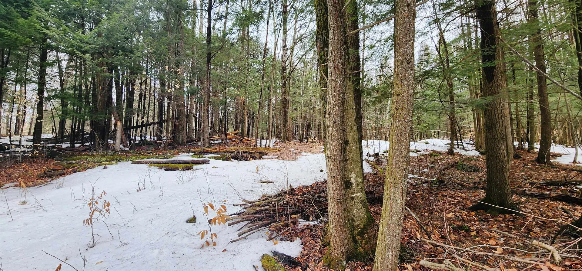 241 Middle Road Barre Town VT 05641