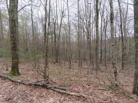 Lot 6 Frohock Brook Road Alton NH 03810