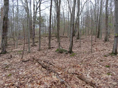 Lot 6 Frohock Brook Road Alton NH 03810