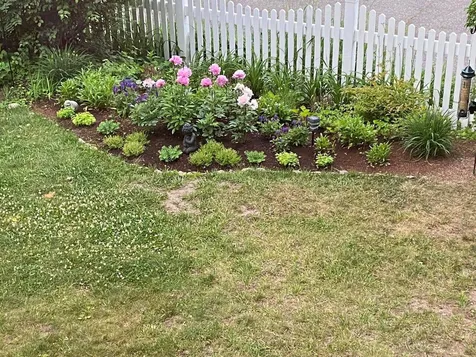 321 South Willard Street Burlington VT 05401