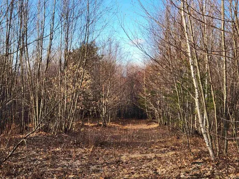7577 Currier Road Loudon NH 03307