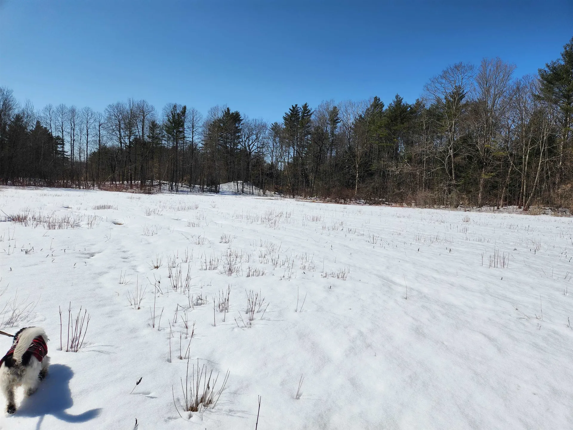 0 Slab City Road Claremont NH 03743
