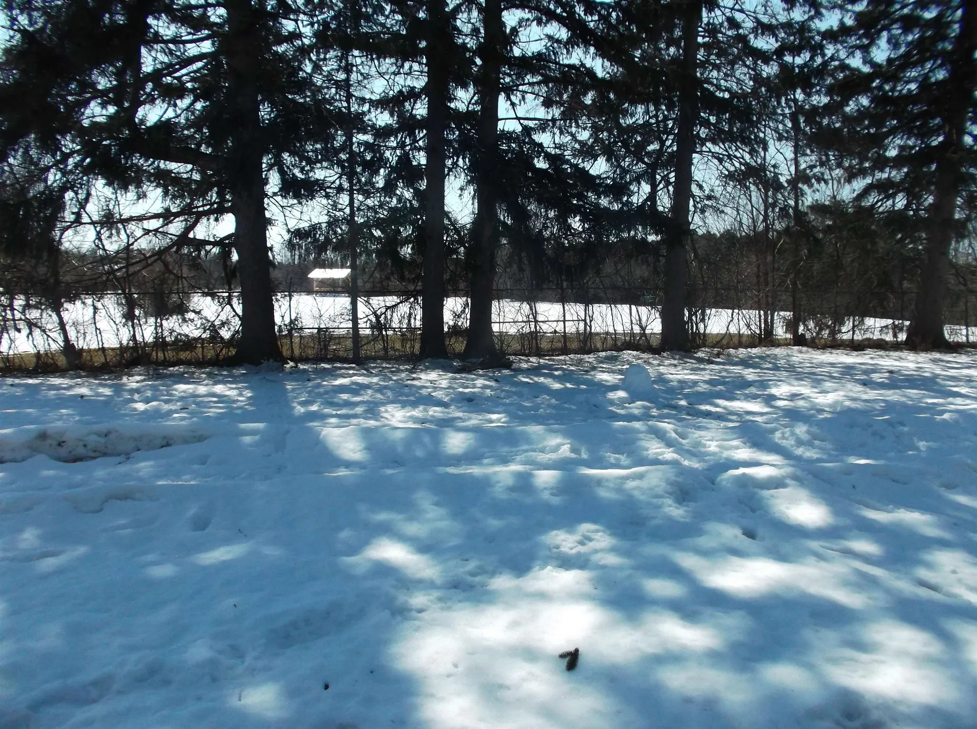 1 Sebring Road South Burlington VT 05403