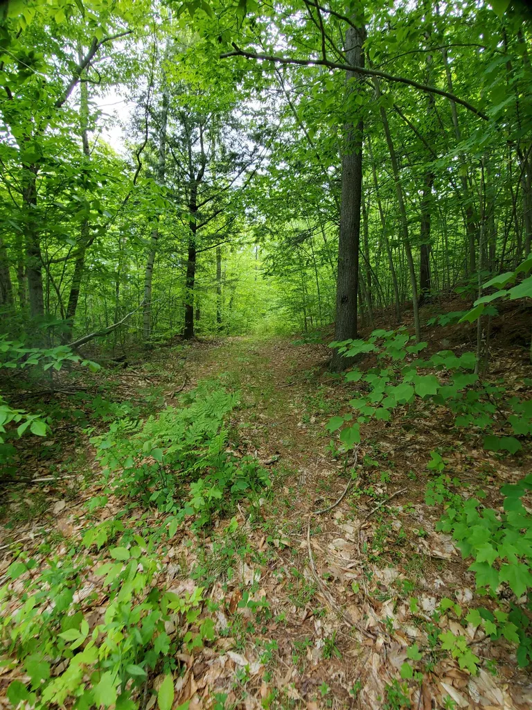141 Stage Road Chester VT 05143