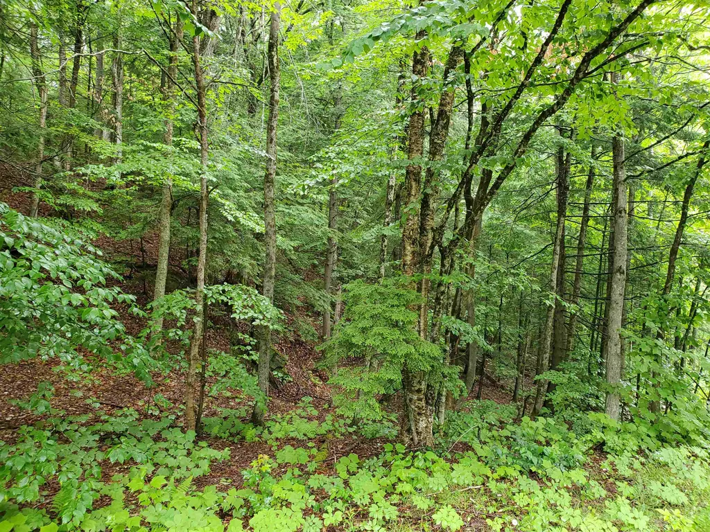 141 Stage Road Chester VT 05143