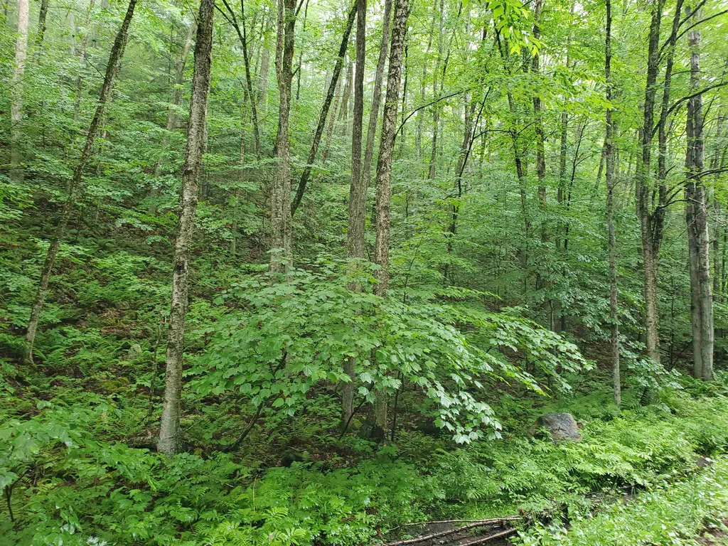 141 Stage Road Chester VT 05143