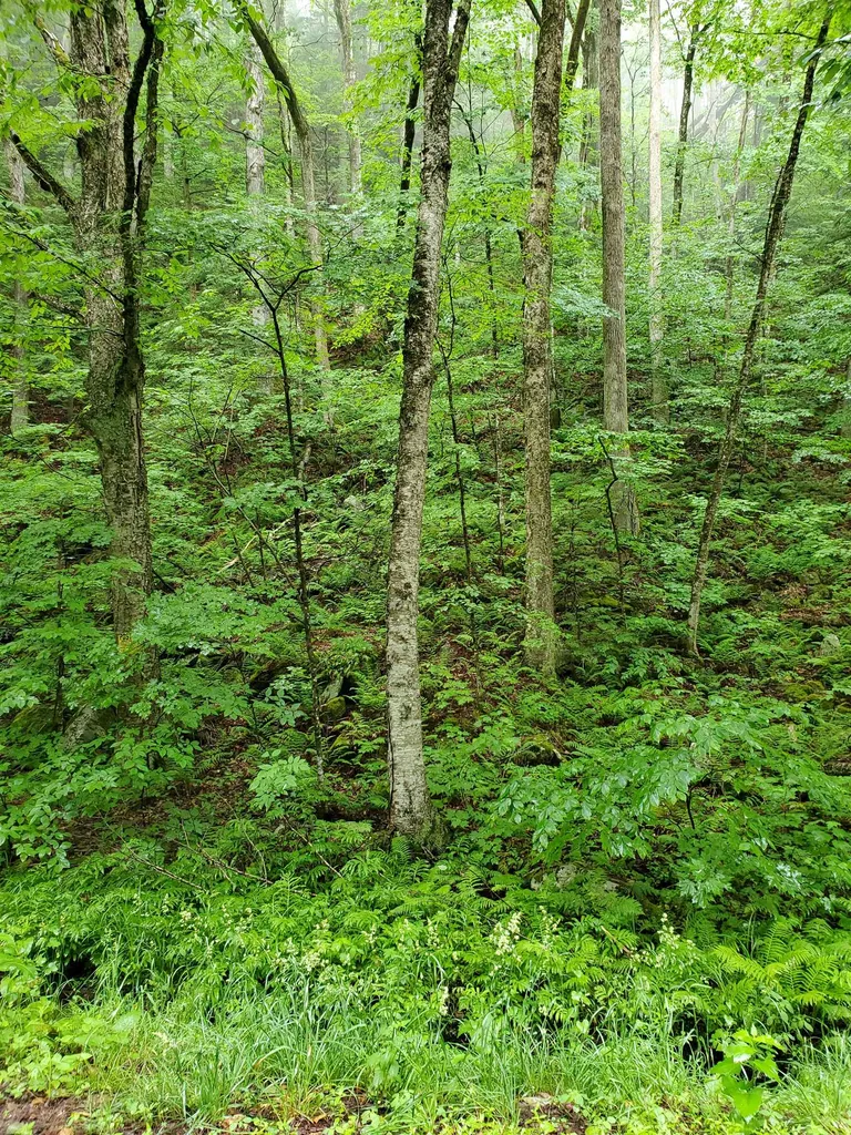 141 Stage Road Chester VT 05143