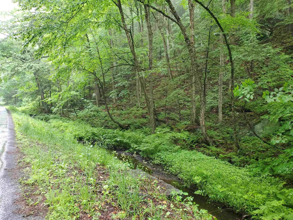 141 Stage Road Chester VT 05143