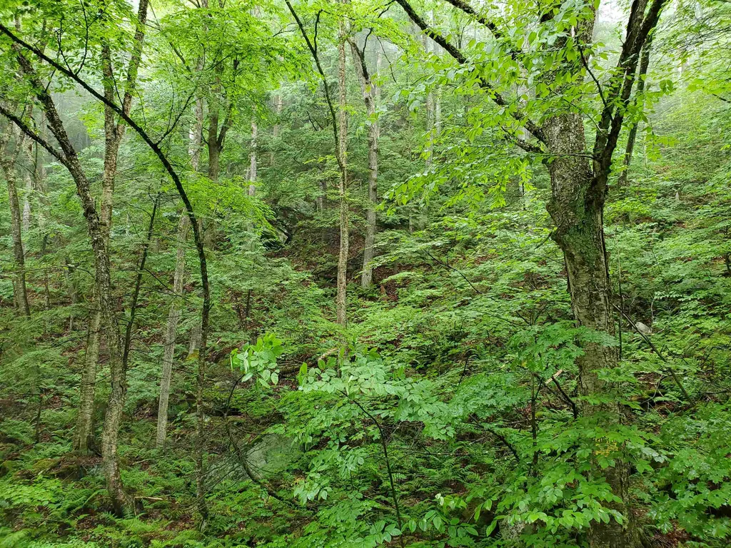 141 Stage Road Chester VT 05143