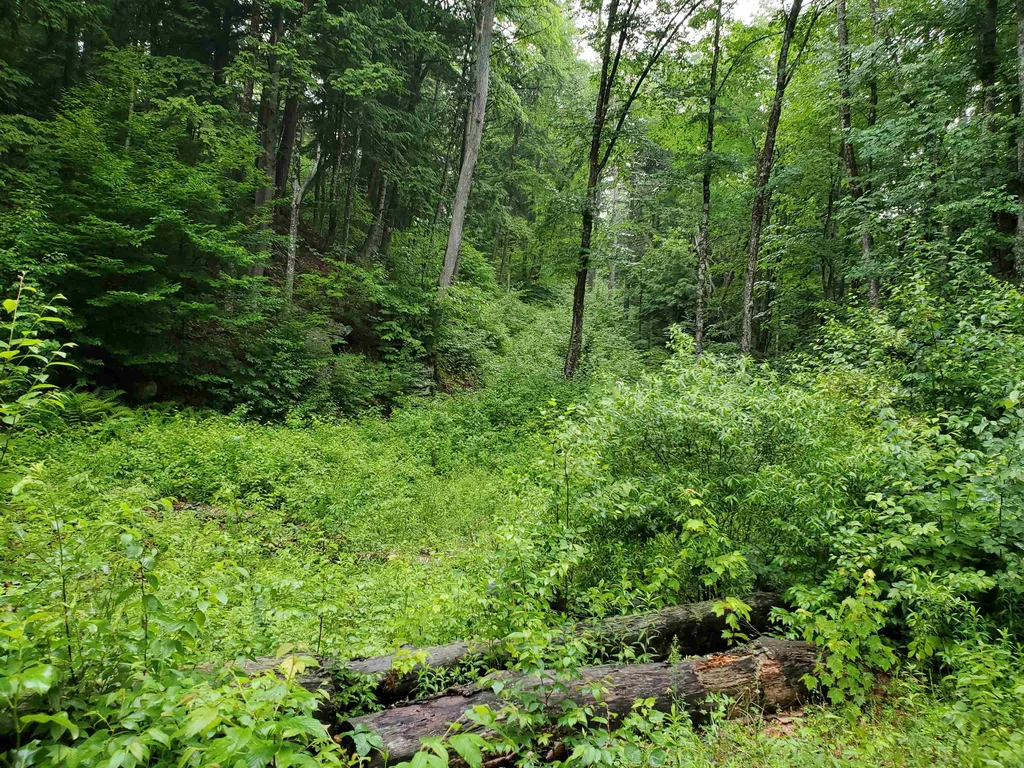141 Stage Road Chester VT 05143