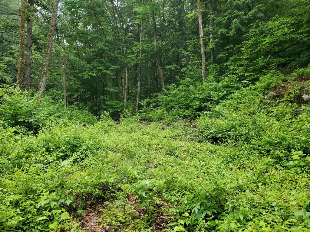 141 Stage Road Chester VT 05143