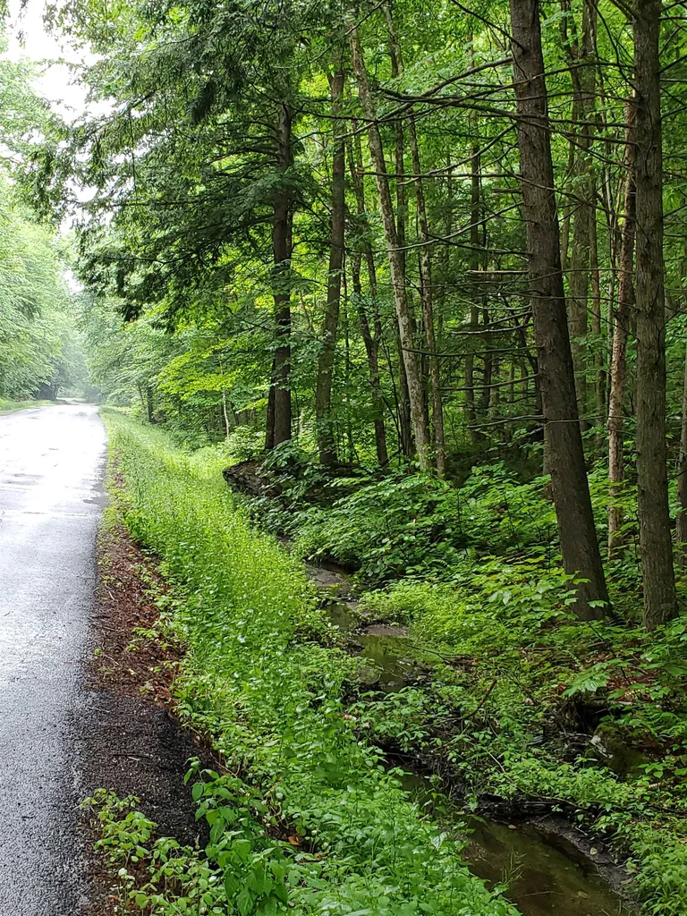 141 Stage Road Chester VT 05143