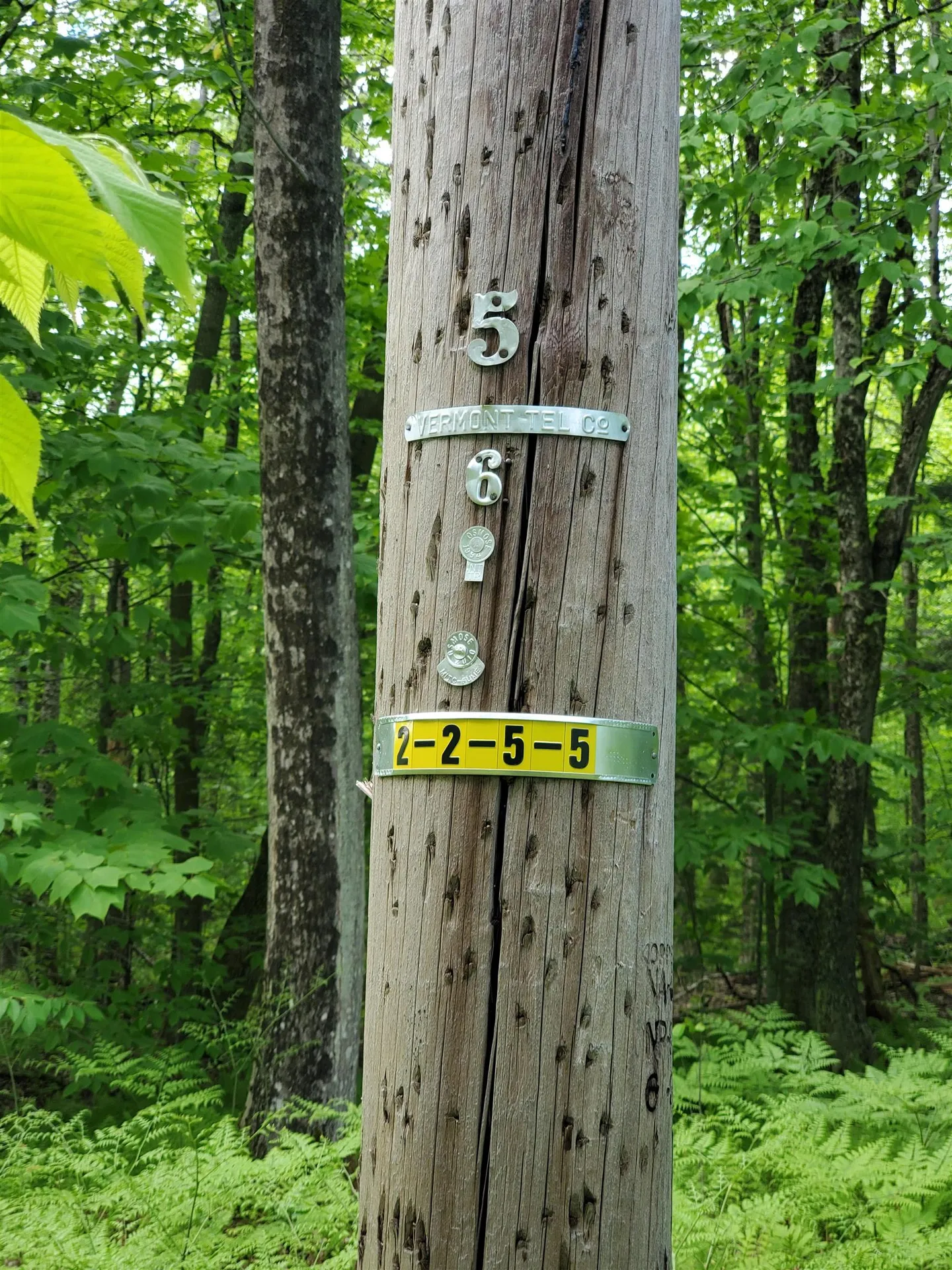 141 Stage Road Chester VT 05143