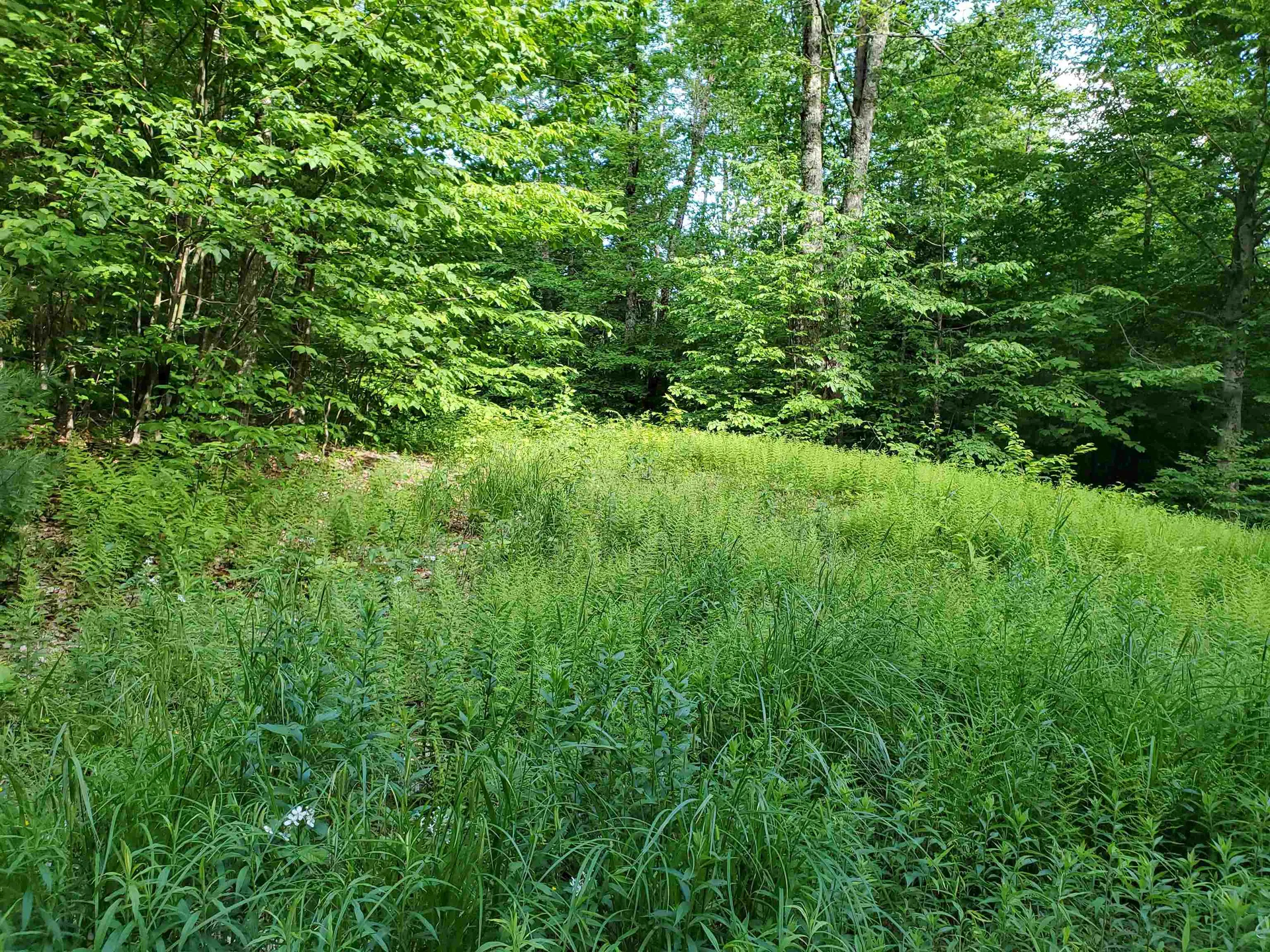 141 Stage Road Chester VT 05143