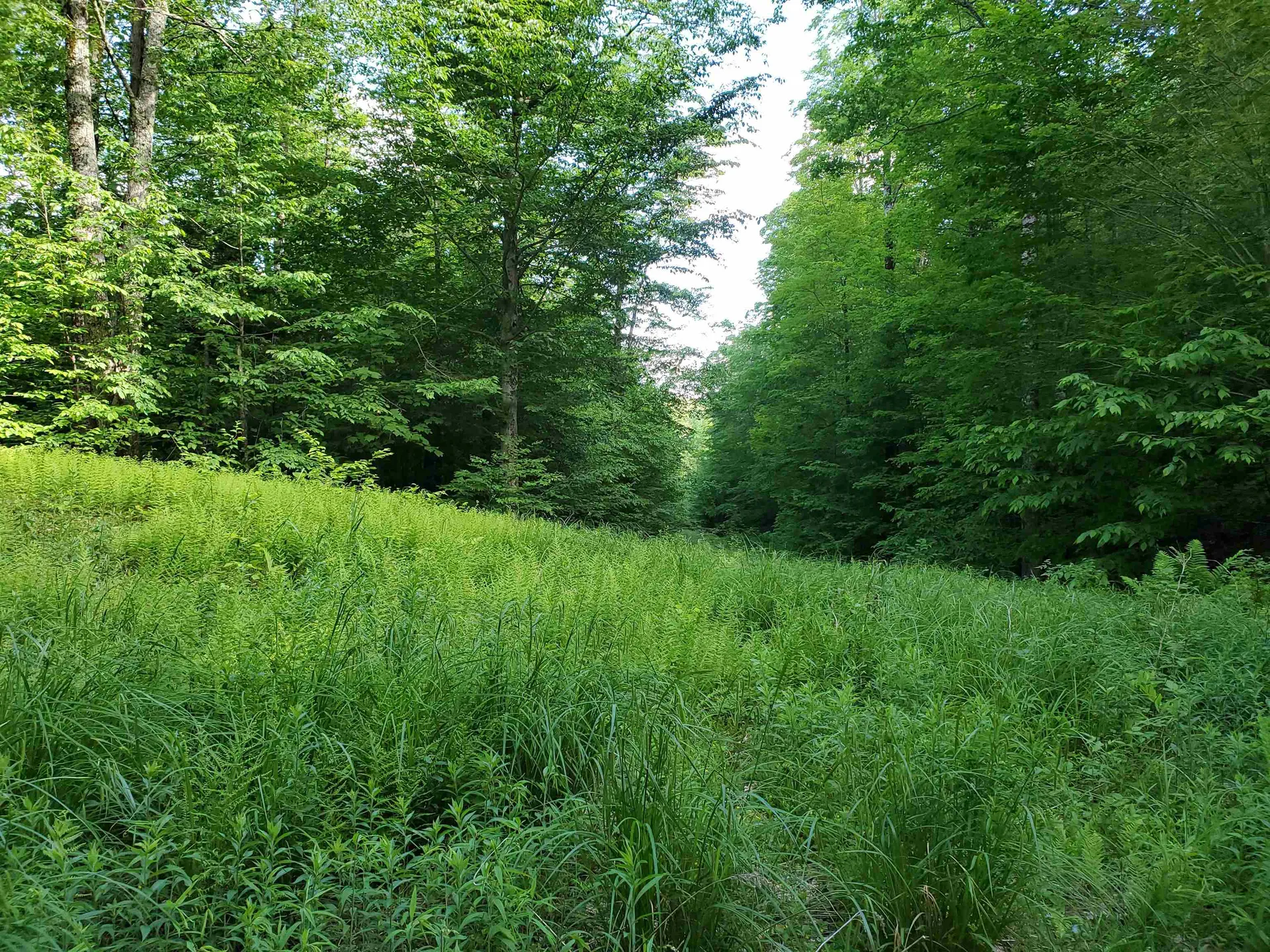 141 Stage Road Chester VT 05143