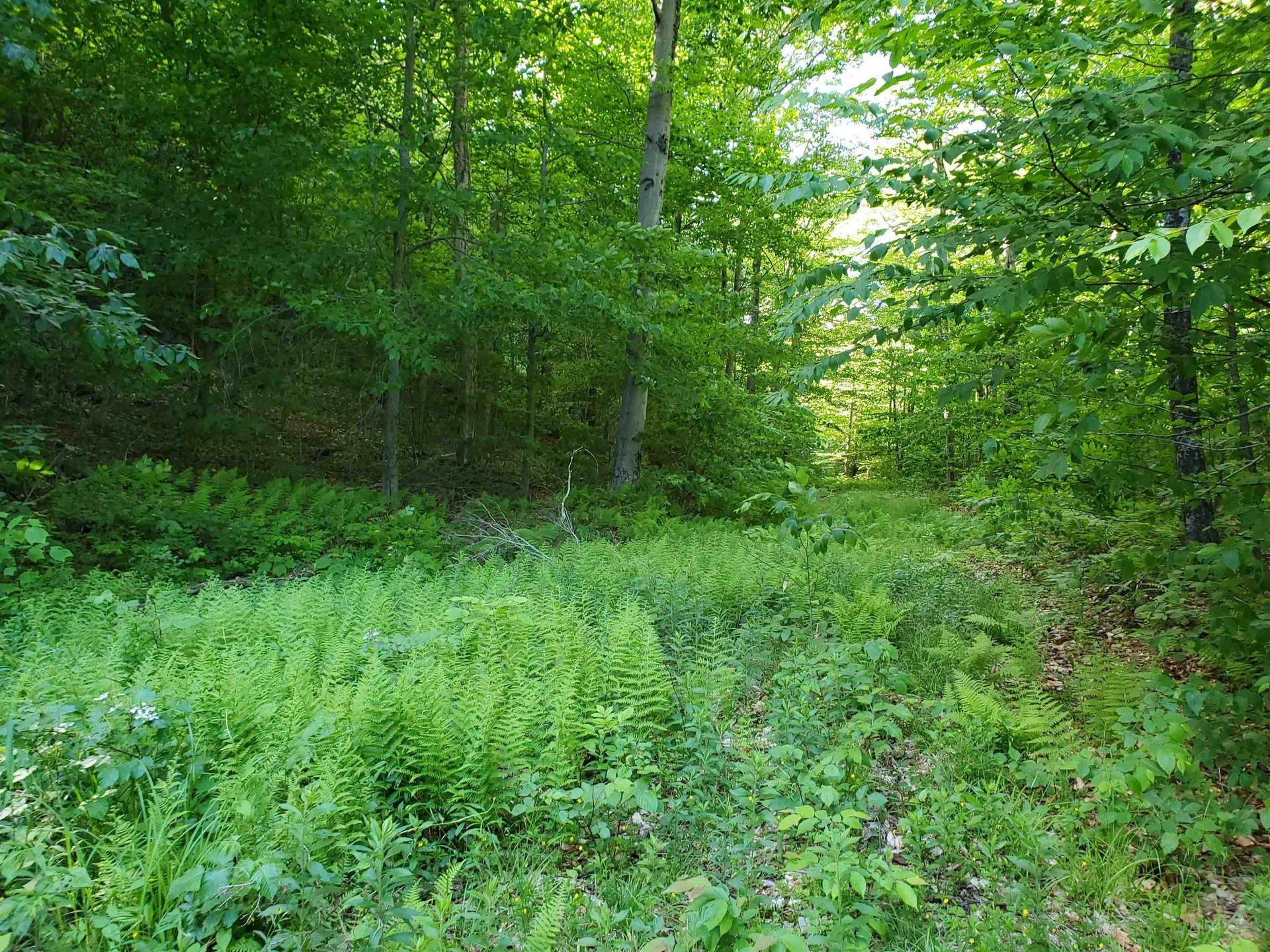 141 Stage Road Chester VT 05143
