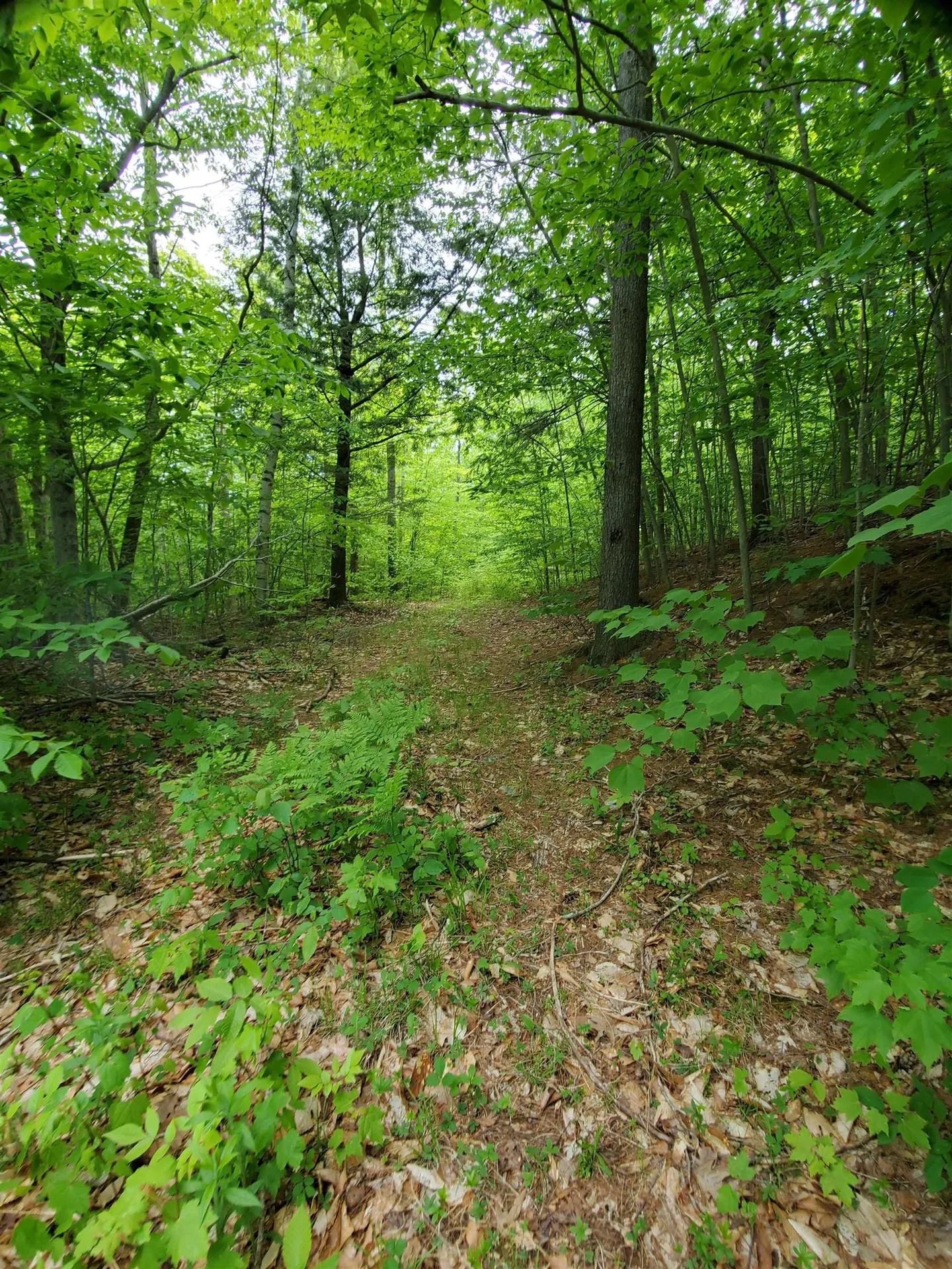 141 Stage Road Chester VT 05143